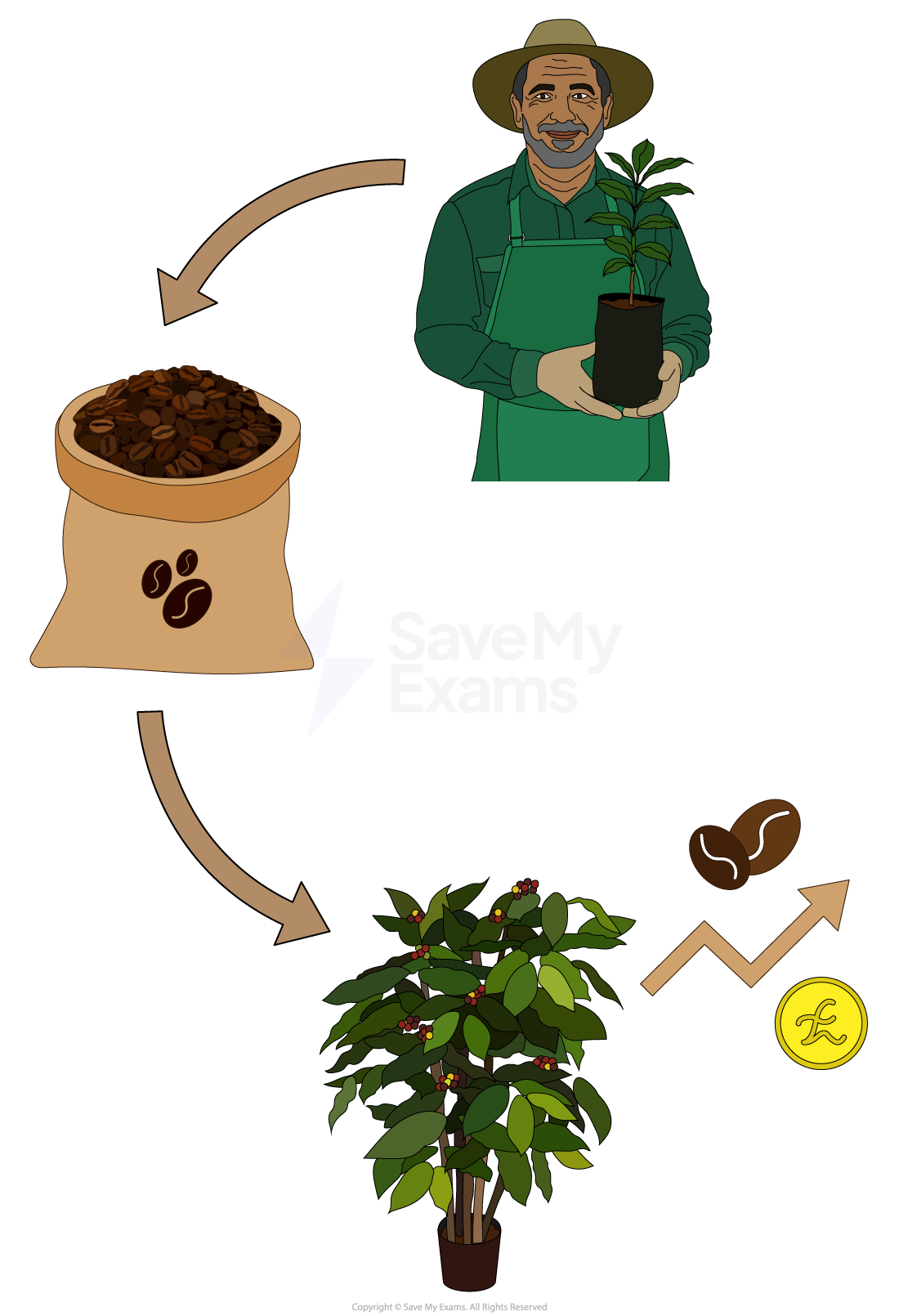 Farmer in a hat holds a coffee plant. Arrows indicate a process from coffee plants to coffee beans in a sack, then to money and coffee growth.