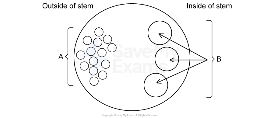 Diagram of a circle divided into two halves. Left half shows multiple small circles labelled A; right half shows three circles with arrows pointing inward labelled B.