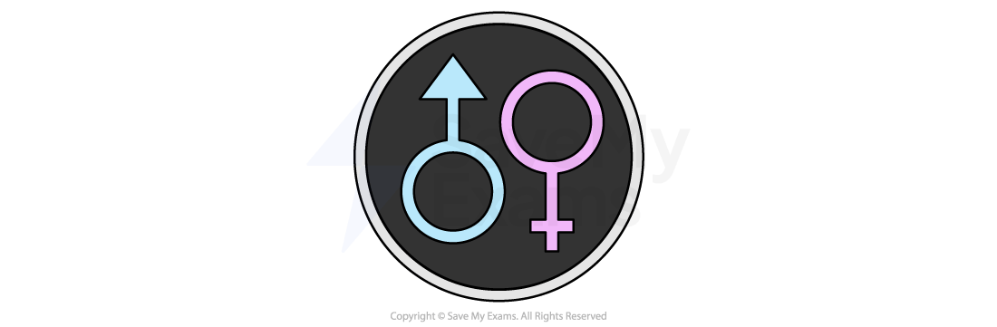 Symbols for male and female, blue and pink respectively, on a black circular background, representing gender icons.