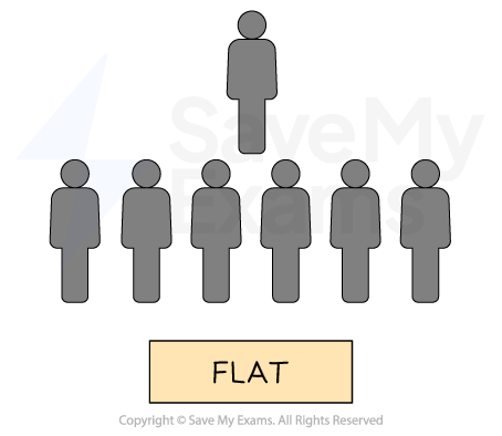 Diagram illustrating a flat organisational structure, with one superior figure above six subordinates arranged in a line below.