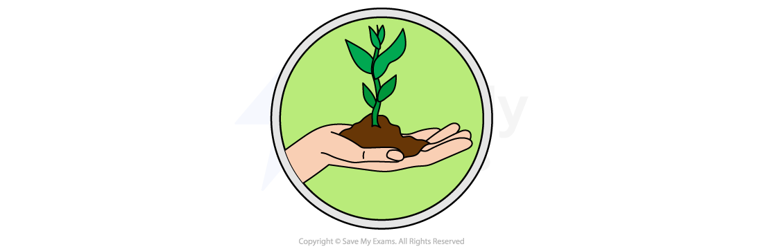 A hand holding a small plant sprouting from soil, set against a green circular background.