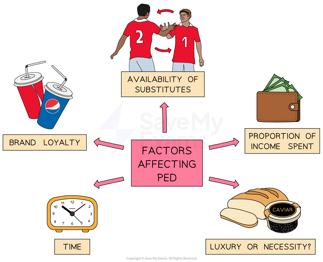 Diagram illustrating factors affecting Price Elasticity of Demand (PED): brand loyalty, substitutes, income spent, time, and luxury versus necessity.