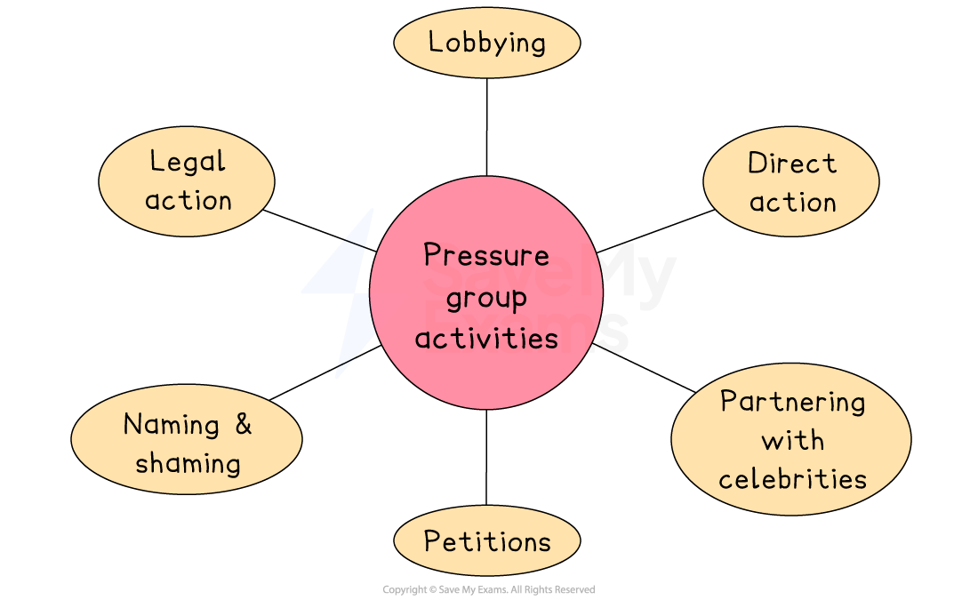 Diagram of pressure group activities includes lobbying, direct action, partnering with celebrities, petitions, naming and shaming, and legal action.