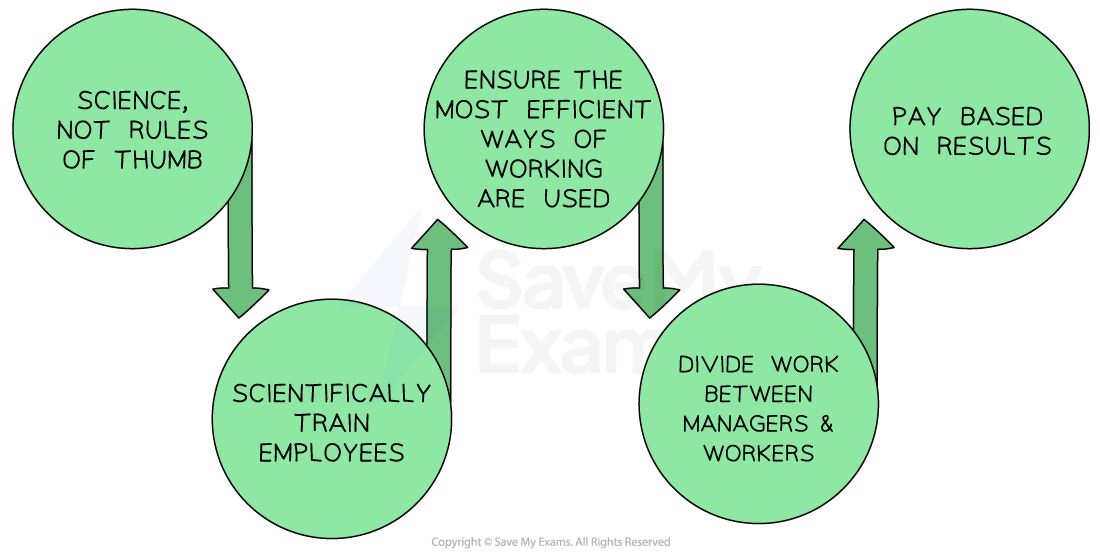 Flowchart with five green circles: science over rules, train employees, efficient work methods, divide work and pay based on results. Arrows show progression.