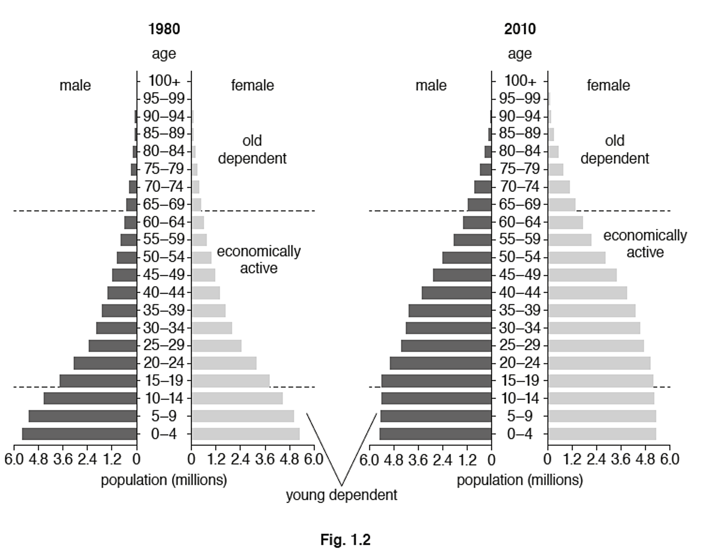 Population pyramids for 1980 and 2010 comparing male and female age groups; separated into young dependent, economically active, and old dependent.