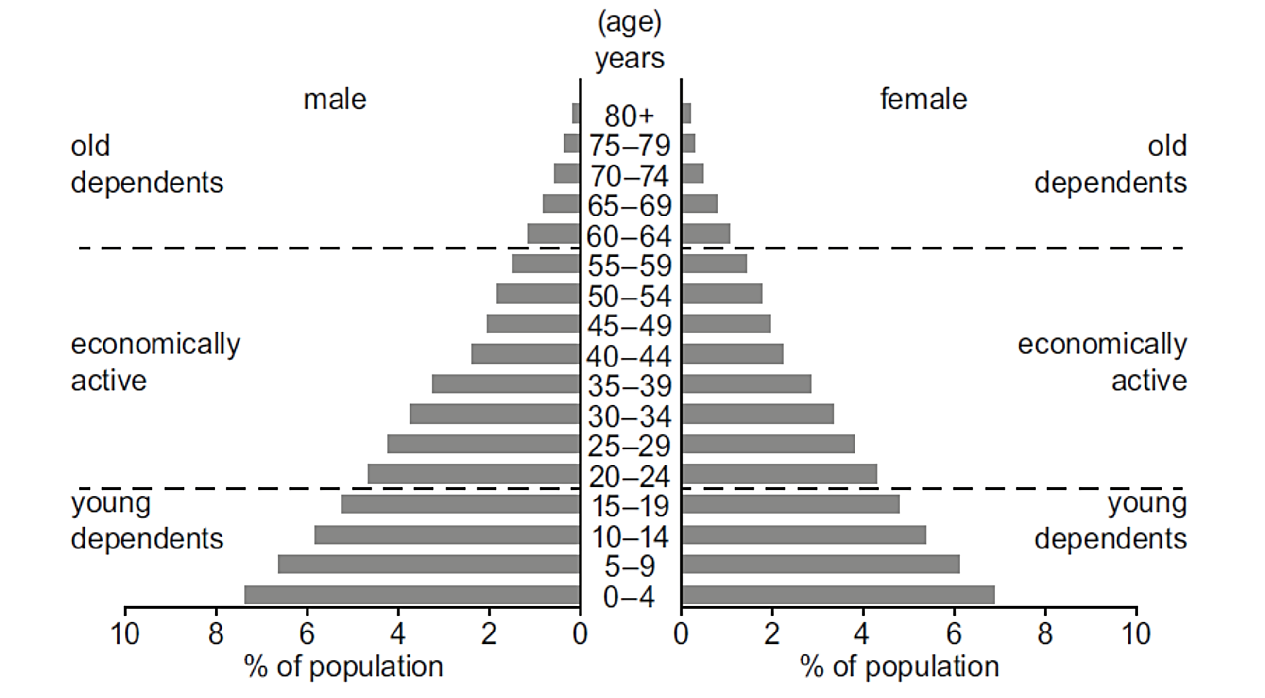 Population pyramid showing age distribution by gender, divided into young dependents, economically active, and old dependents, with percentages.