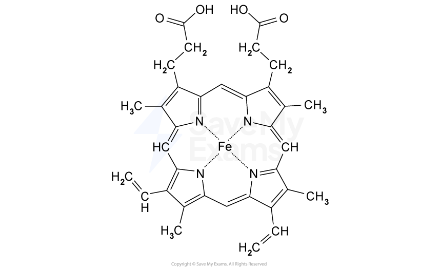 Chemical structure of haem, showing a central iron atom bonded to nitrogen atoms in a porphyrin ring, with side chains and carboxylic acid groups.