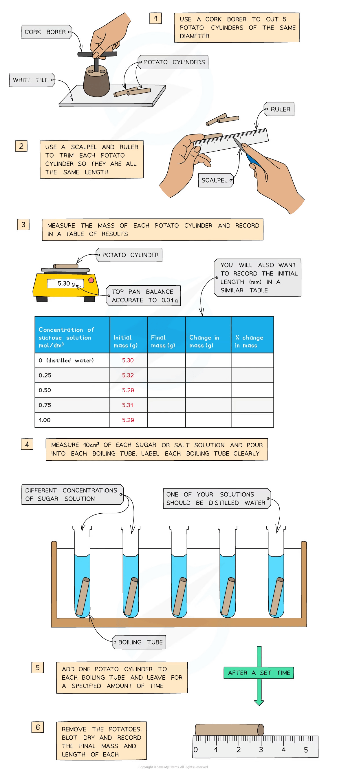 Diagram outlining the steps to measure osmosis in potatoes: cutting, measuring, immersing in solutions, and recording mass changes in boiling tubes.