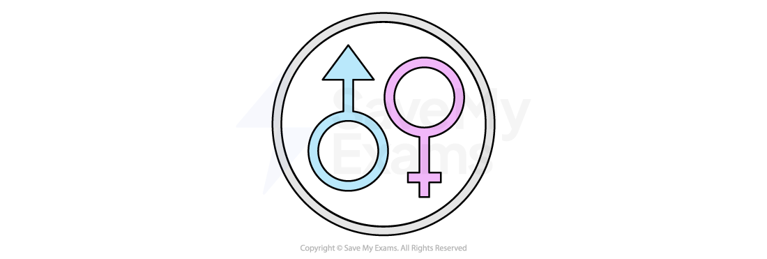 Blue male and pink female gender symbols inside a circle, representing gender biology. Copyright text at bottom.