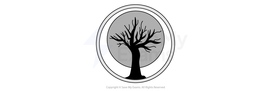 Silhouette of a bare tree with outstretched branches in a circular frame, set against a grey background.