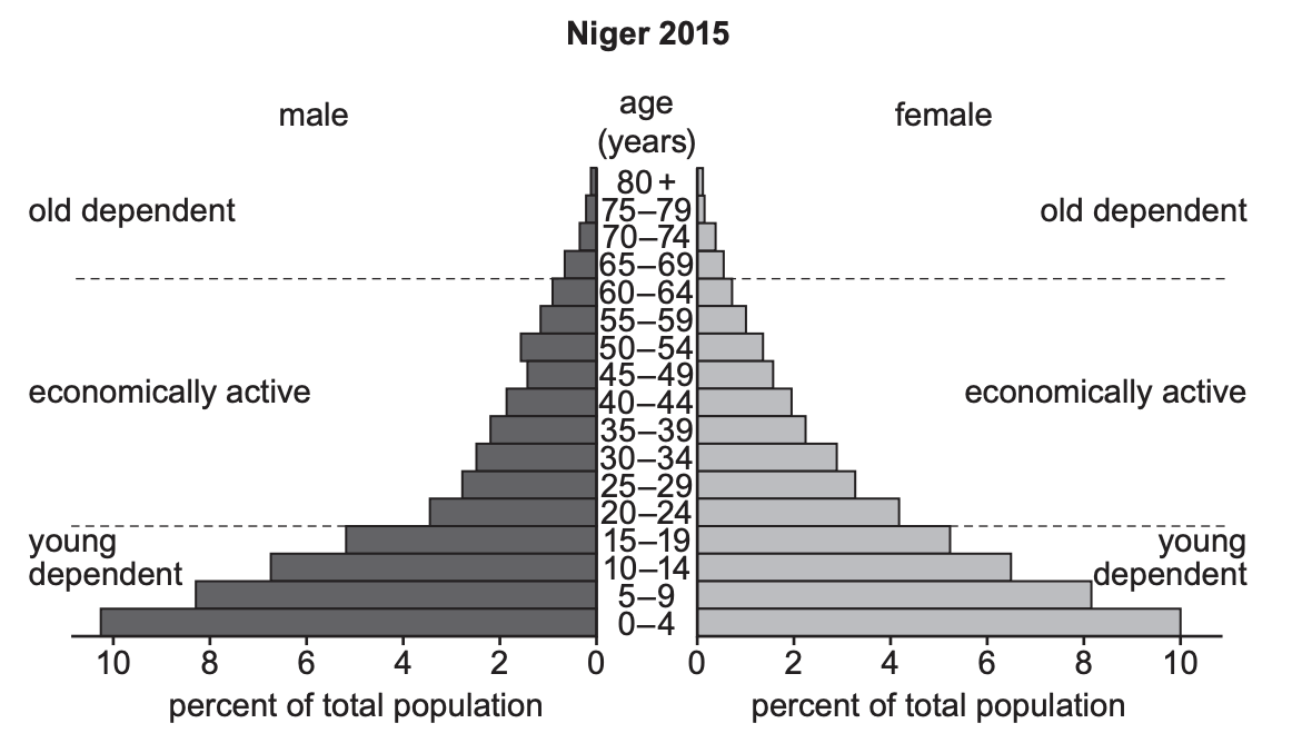 Population pyramid of Niger in 2015 showing age distribution by percentage for males and females, highlighting young and old dependents, economically active.