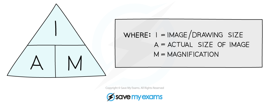 Triangle diagram with letters I, A, M; explaining image size, actual size, and magnification. Text box details: I = image/drawing size, A = actual size, M = magnification.