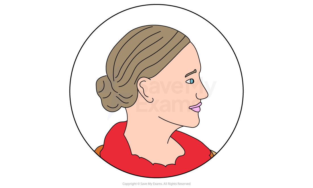 Illustration of a person in profile with brown hair in a bun, wearing a red top, inside a white circle on a plain background.