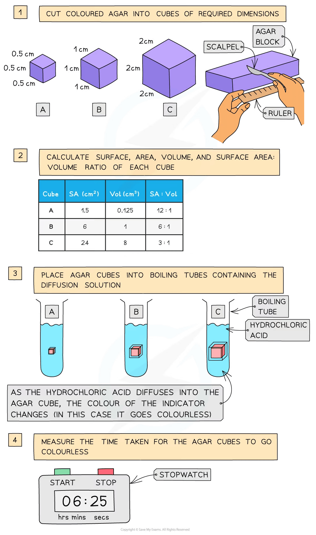 Diagram showing steps for a diffusion experiment with agar cubes, detailing cutting, calculating surface area, immersing in acid, and timing colour change.