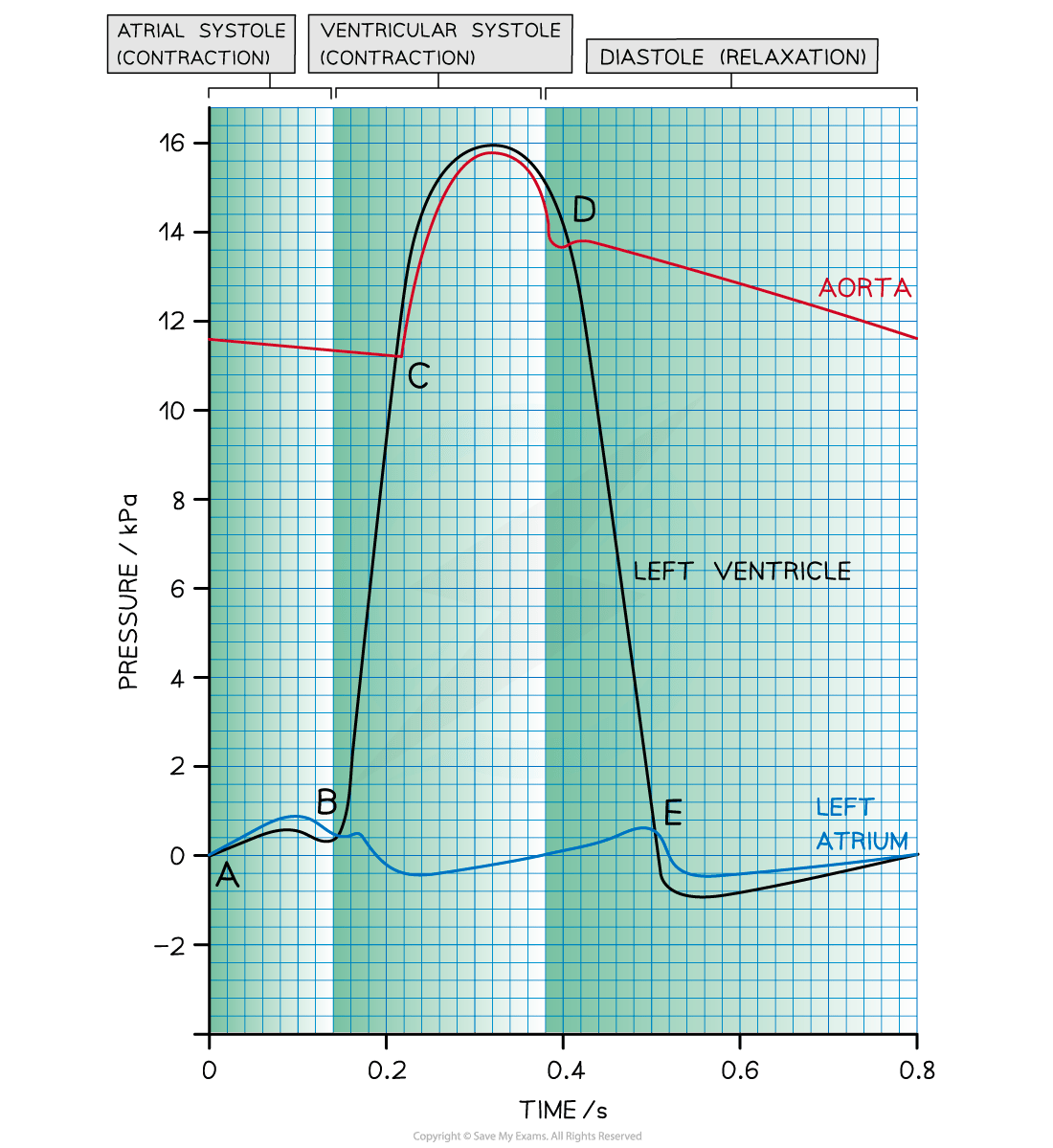 Graph depicting pressure changes in the heart over time, showing atrial and ventricular contraction and relaxation phases with left ventricle and atrium curves.