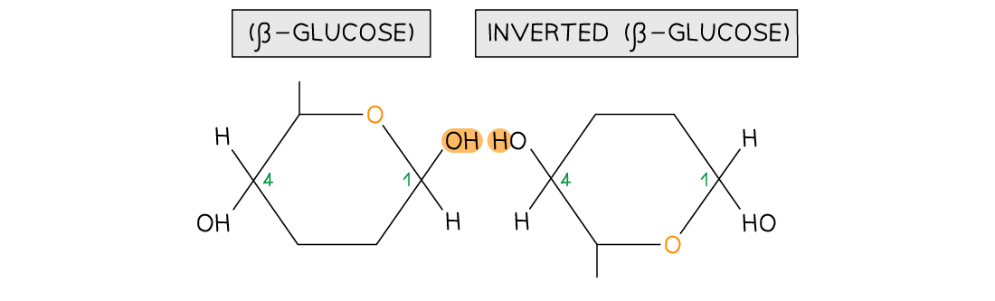 Diagram showing β-glucose and inverted β-glucose structures with highlighted hydroxyl groups, labelled carbon positions 1 and 4 in green.