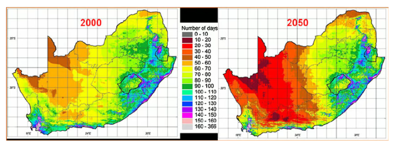 Maps of South Africa show the number of days when precipitation is high enough for plant growth in 2000 versus 2050
