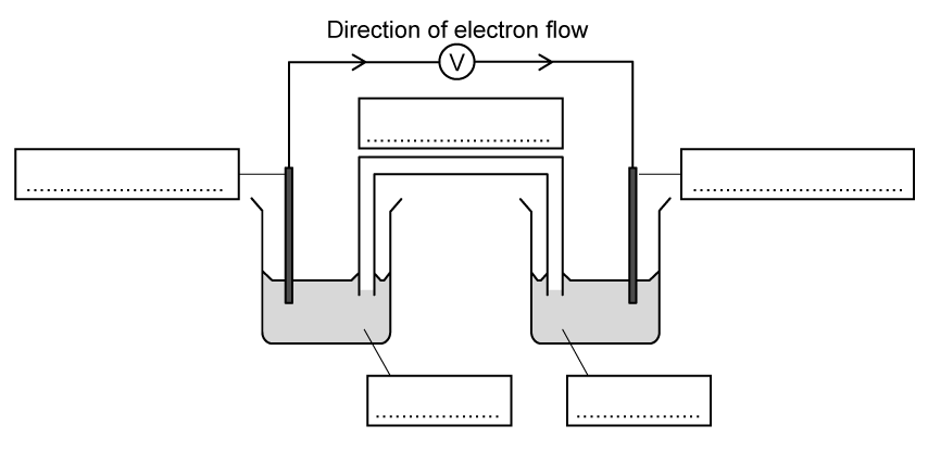 Diagram of an electrochemical cell, showing electron flow direction, two electrodes in solutions, and a voltmeter. Labels are empty for customisation.