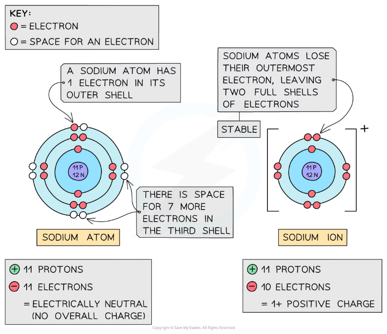 Diagram showing a sodium atom and ion. Atom has 11 protons, 12 neutrons, and three electron shells. Ion loses one electron, gaining a positive charge.