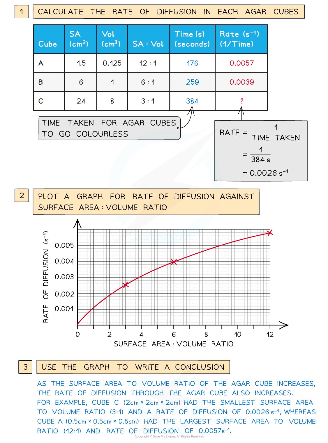 Table of diffusion rates in agar cubes with a graph plotting rate versus surface area to volume ratio, accompanied by a conclusion about the relationship.