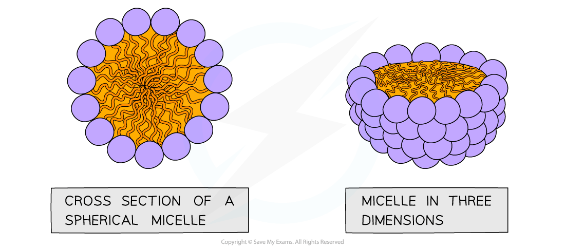 Diagram showing a cross-section and a 3D view of a spherical micelle with an orange interior and purple exterior, labelled accordingly.