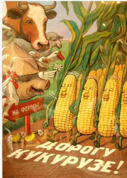 Cartoon farm animals, including a cow, pig, and chicken, admire walking corncobs with happy faces. A red sign points to the farm with Russian text.