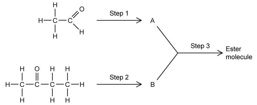 Two organic molecules react in steps to form an ester. Step 1 and 2 form intermediate products A and B, which combine in Step 3 to yield the ester molecule.