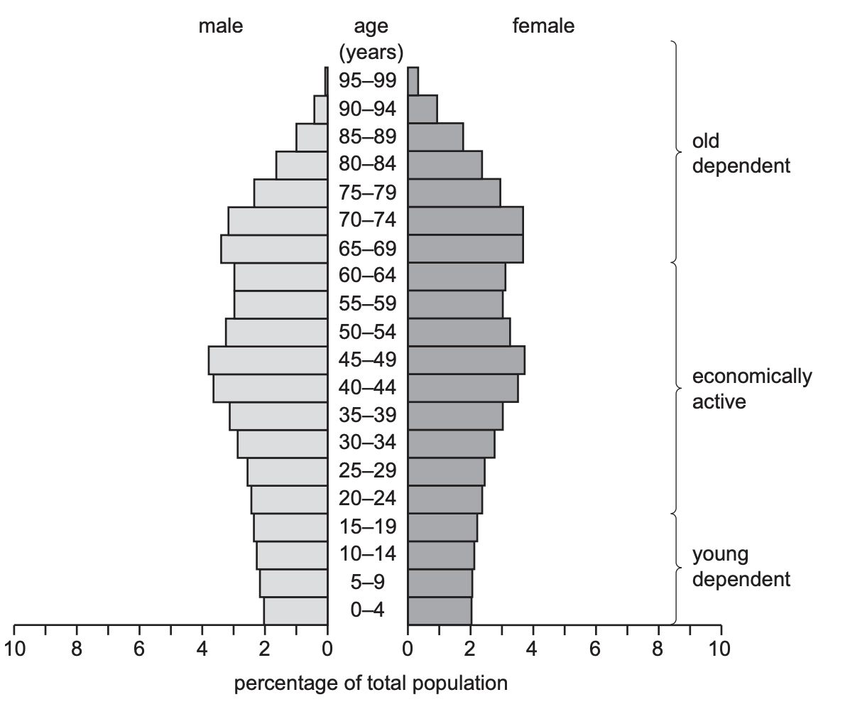 Population pyramid showing age distribution with males on the left and females on the right, divided into young dependent, economically active, and old dependent groups.