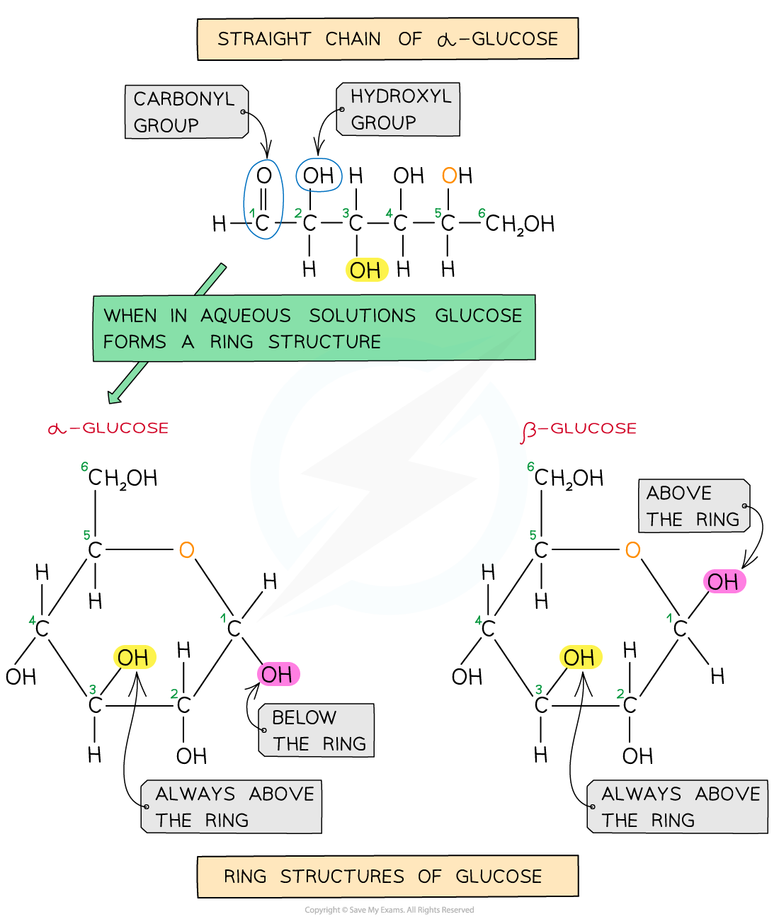 Diagram showing the straight chain and ring structures of alpha and beta glucose, highlighting carbonyl and hydroxyl groups, with labels on positions.