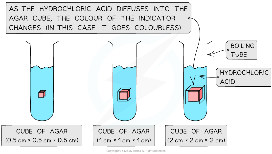 Three boiling tubes with blue liquid and agar cubes of varying sizes, demonstrating how hydrochloric acid causes the indicators to turn colourless.