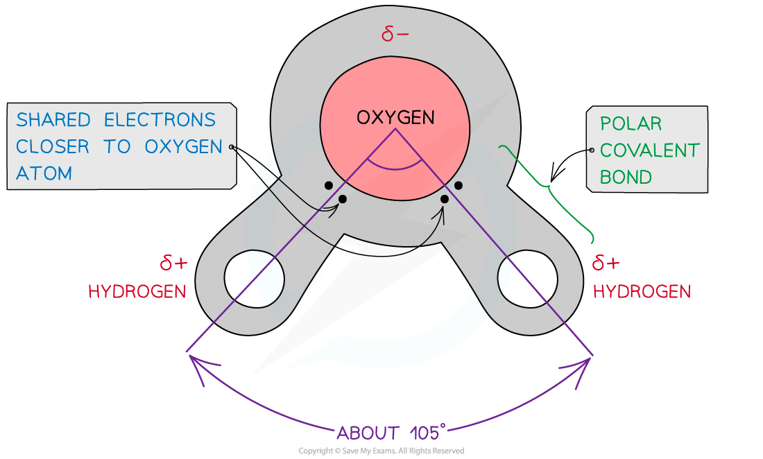 Diagram showing a water molecule with oxygen atom bonded to two hydrogen atoms, highlighting polar covalent bonds and a bond angle of about 105 degrees.
