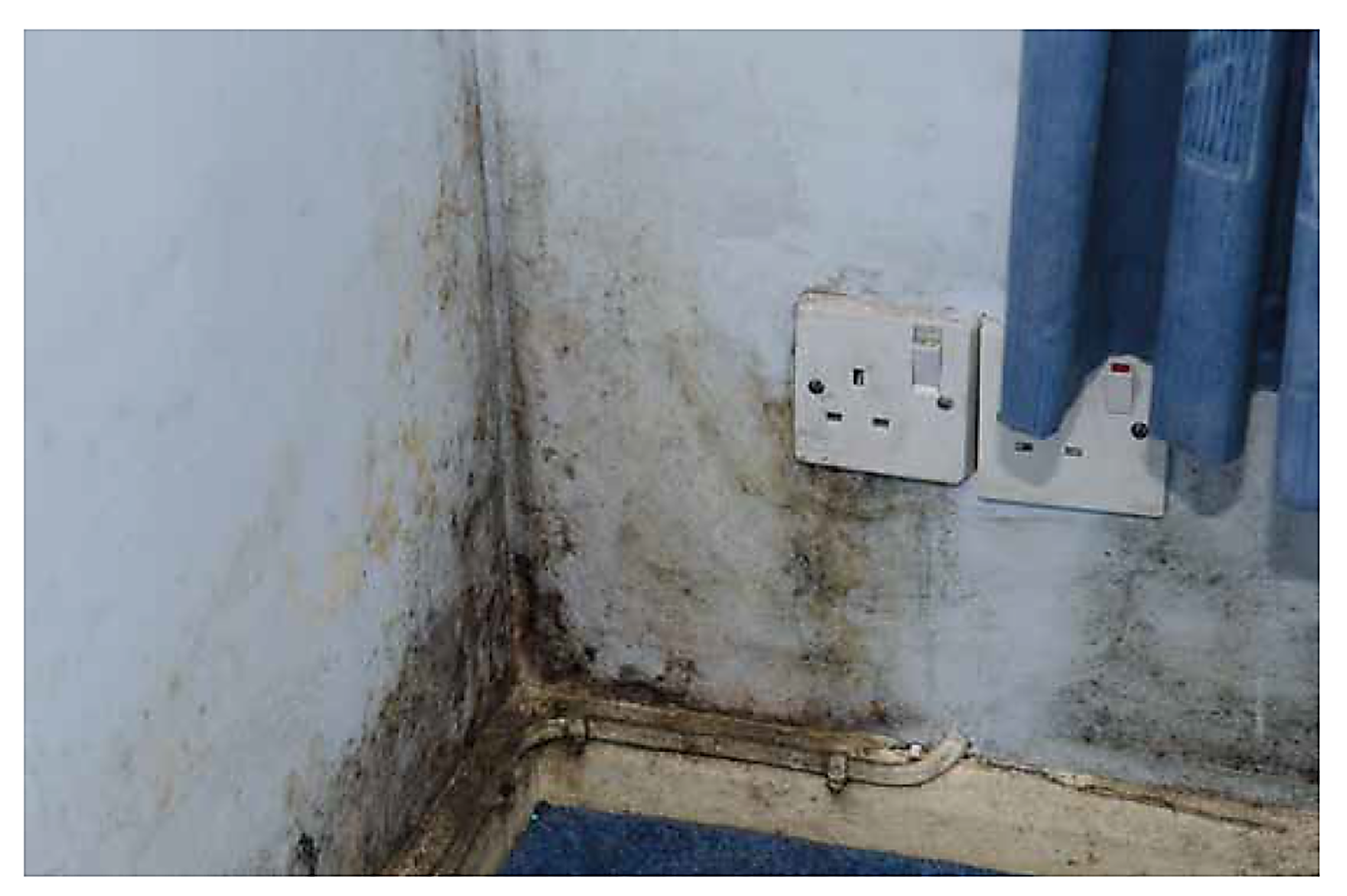 Mould on blue wall and skirting board in room corner, near two electrical outlets and a blue curtain, indicating damp or water damage.