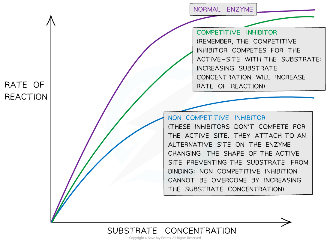 Graph comparing enzyme reaction rates with normal, competitive, and non-competitive inhibitors against substrate concentration.