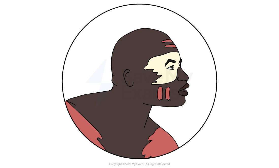 Profile of a person with stylised facial markings in red and cream, side view, inside a circular border on a plain background.