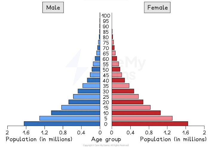 Population pyramid showing age distribution by gender; males in blue and females in red; age groups from 0-100; population in millions up to 2.