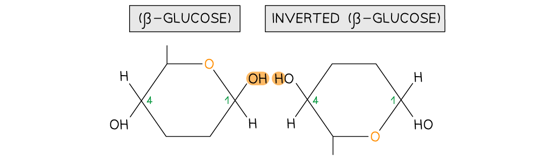 Diagram comparing beta-glucose and inverted beta-glucose structures, highlighting differences in hydroxyl group positions on carbon ring.
