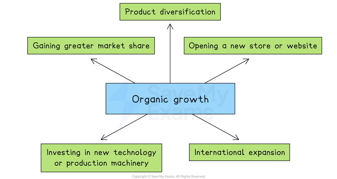 Flowchart illustrating organic growth strategies: product diversification, gaining market share, new store or website, technology, and international expansion.