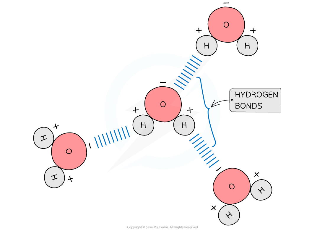 Diagram of three water molecules showing hydrogen bonds as blue dashed lines between hydrogen and oxygen atoms, with charges indicated.