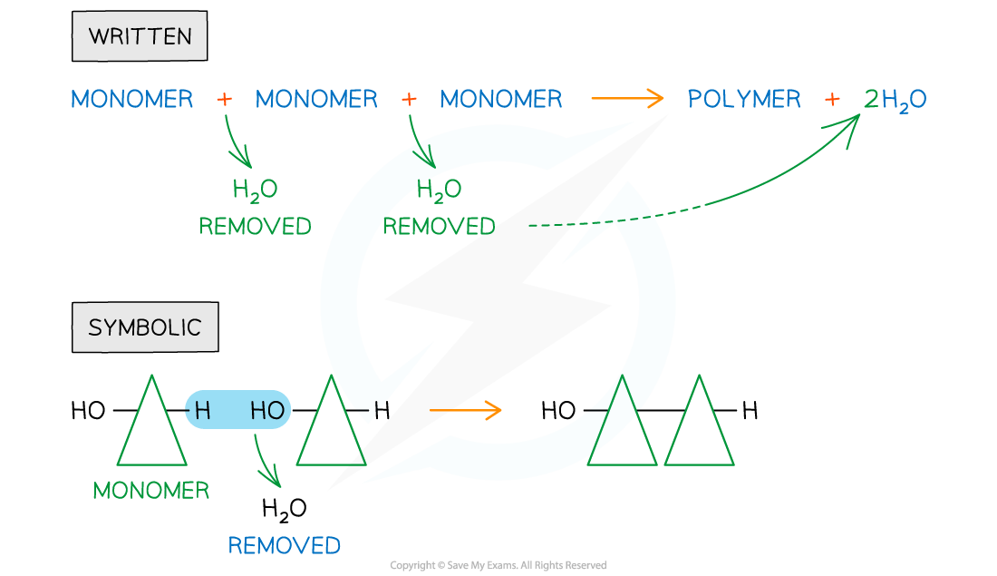 Diagram showing polymerisation: multiple monomers form a polymer, with water removal (H2O). Written and symbolic processes depicted.