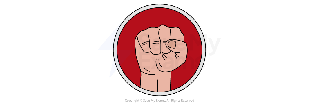 Illustration of a clenched fist on a red circular background with a white border, symbolising strength or solidarity.