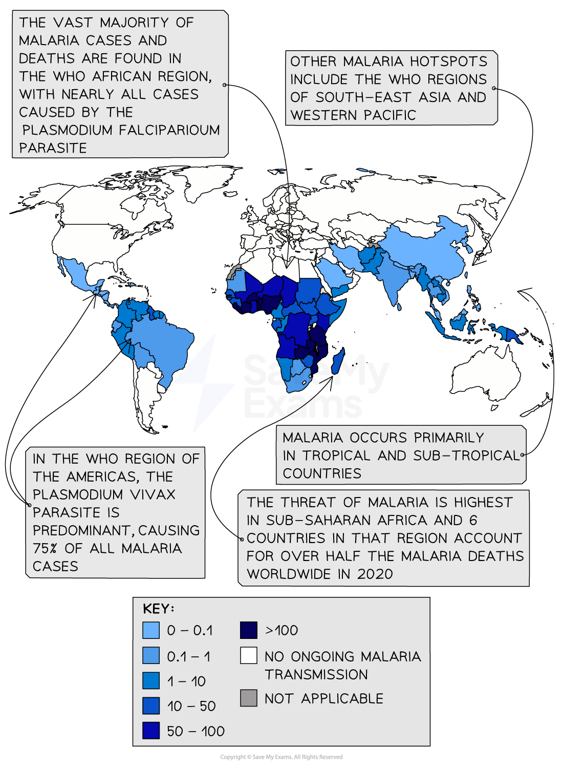 World map highlighting malaria prevalence, with Sub-Saharan Africa having highest rates. Key shows cases per 1,000. Regions include SE Asia and Americas.