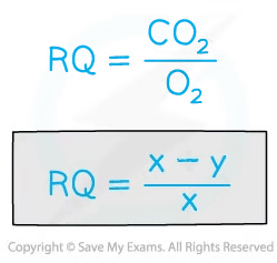 Equation image showing RQ as CO2/O2. Below, RQ is shown as (x−y)/x.