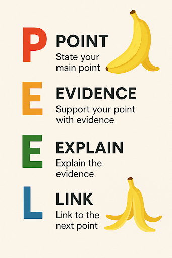 Infographic explains PEEL writing structure: Point, Evidence, Explain, Link, each with descriptions and banana images symbolising peeling.