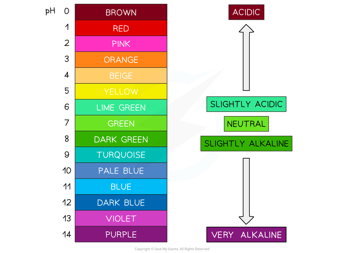 pH scale from 0 to 14 with colours: brown to purple. Labels acidic, neutral, alkaline. Upper scale acidic, lower very alkaline.