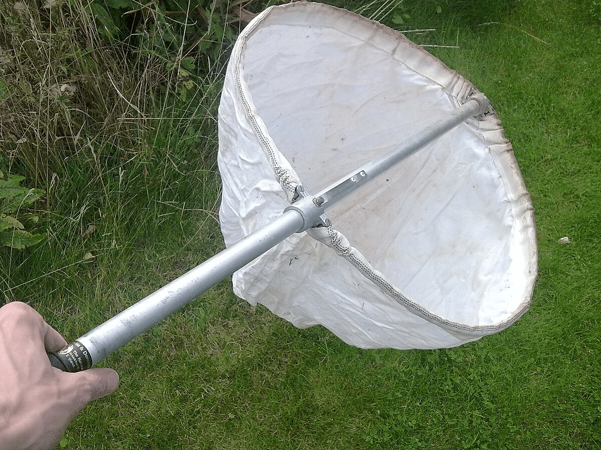 A person holds a large white butterfly net with a metal handle over grassy ground, near tall vegetation.