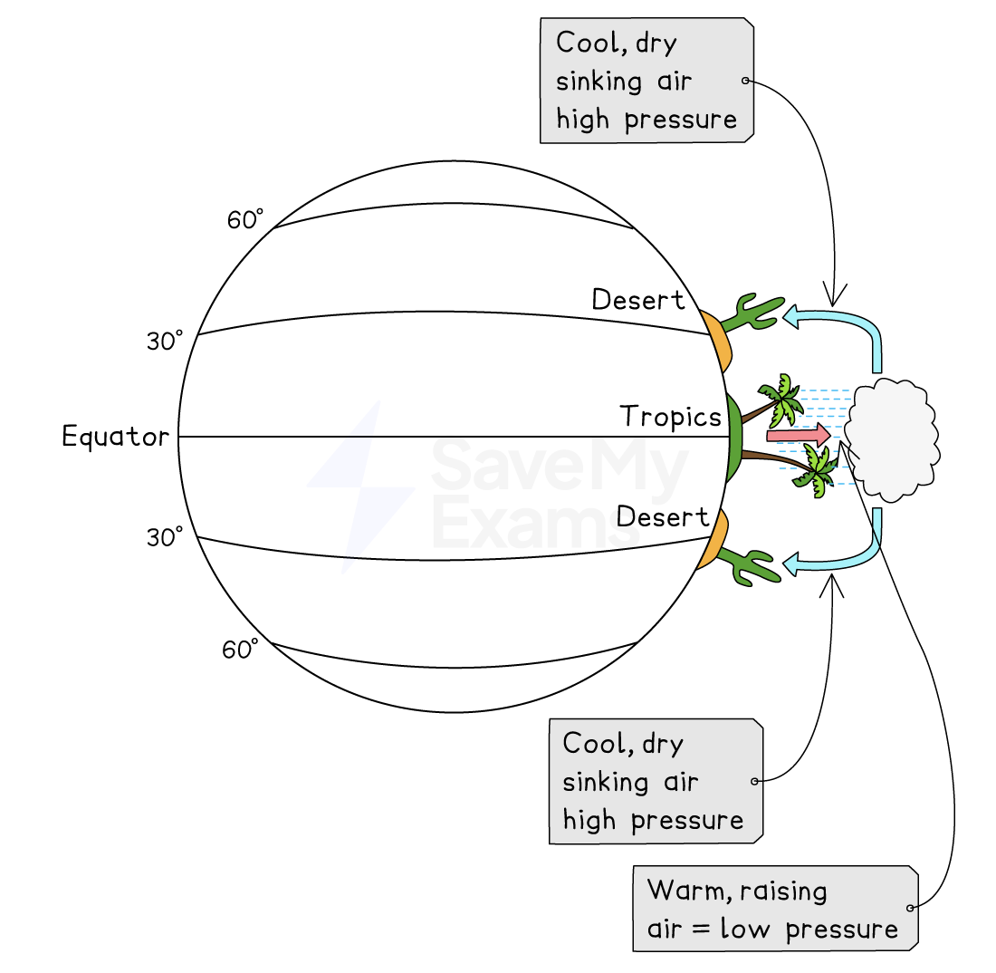 Diagram of Earth's atmospheric circulation showing warm, raising air causing low pressure at the equator, and cool, sinking air causing high pressure at 30° and 60° latitudes.