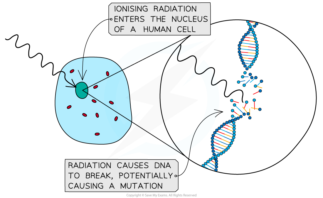 Ionising radiation entering a human cell nucleus, breaking DNA and potentially causing a mutation.