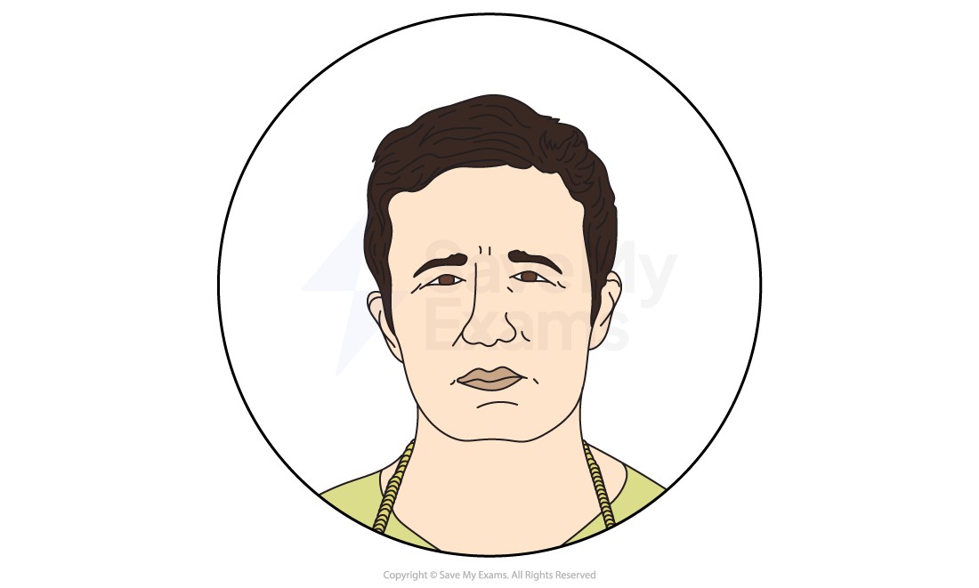 Illustrated face of a person with short brown hair and a neutral expression, wearing a green top and a necklace, enclosed in a circle.