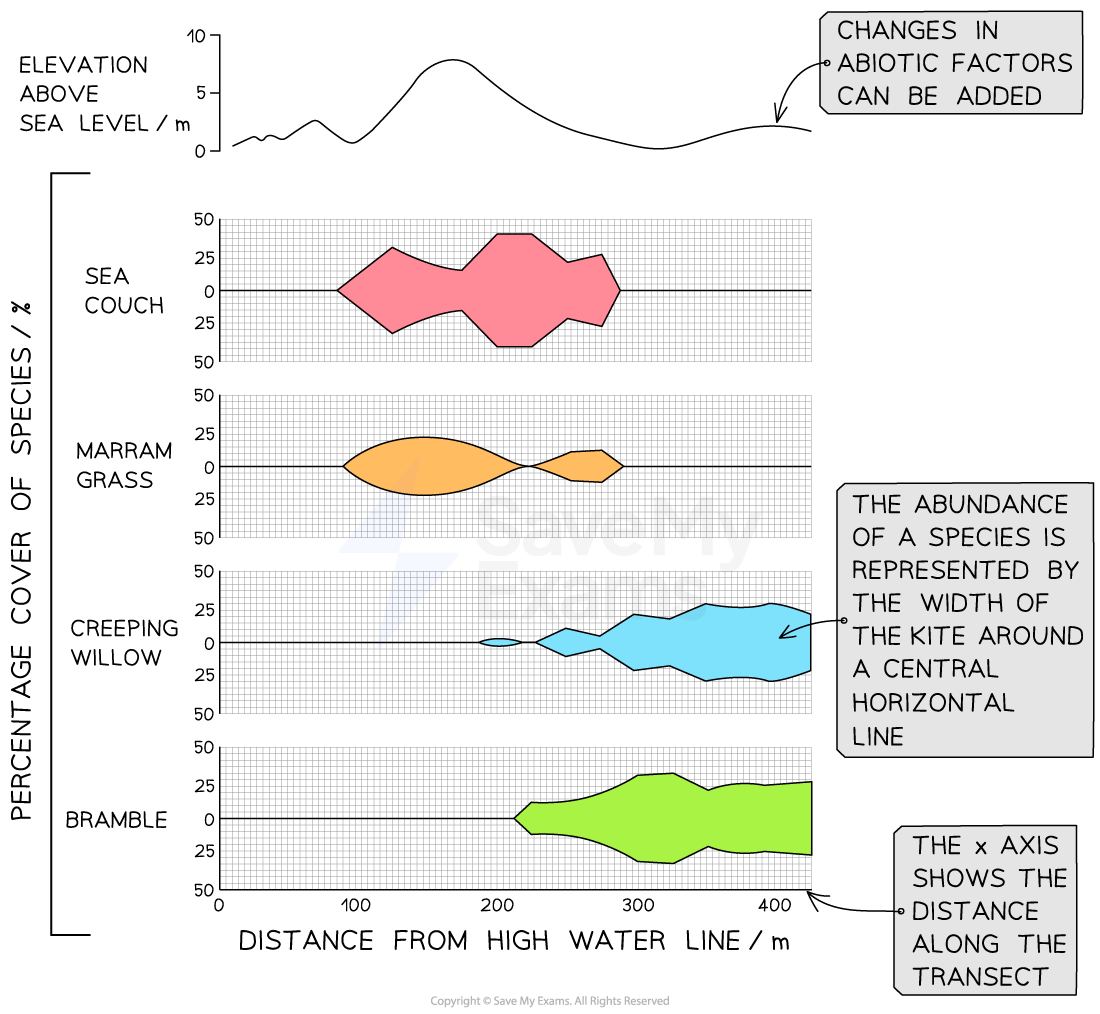 Graph showing plant species cover along a transect from high water, with sea couch, marram grass, creeping willow, and bramble, percentage cover versus distance.