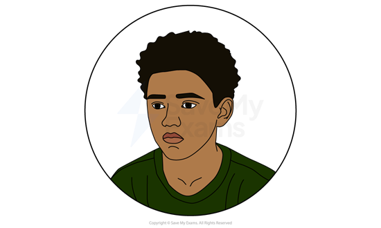 Illustration of Leon from My Name is Leon: he is a thoughtful young person with curly hair wearing a green shirt, inside a circular frame, with a neutral expression.